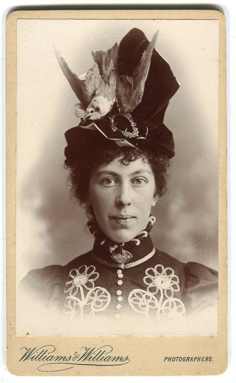 1900-high-fashion-hat-with-stuffed-bird-cdv-c1900-probably-Bristol